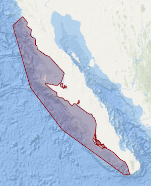 A map depicting the whaling areas of Baja California, extending nearly the entire length of the peninsula